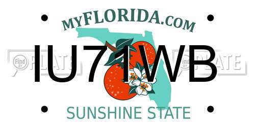 IU71WB Florida License Plate