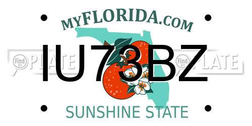 IU73BZ Florida License Plate