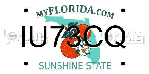 IU73CQ Florida License Plate