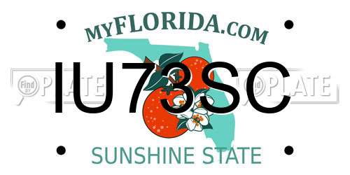 IU73SC Florida License Plate