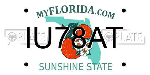 IU78AT Florida License Plate