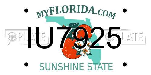 IU7925 Florida License Plate