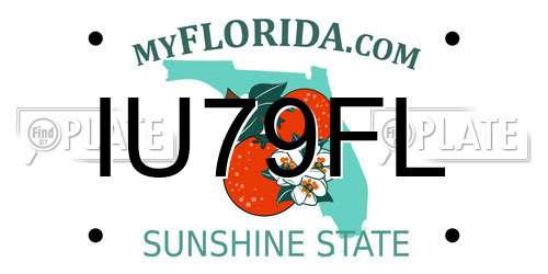 IU79FL Florida License Plate
