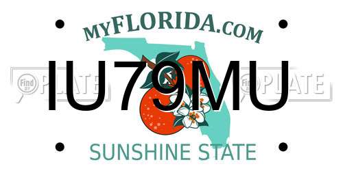 IU79MU Florida License Plate