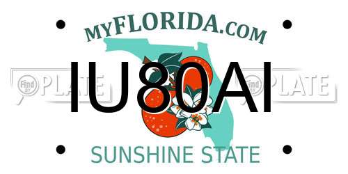IU80AI Florida License Plate