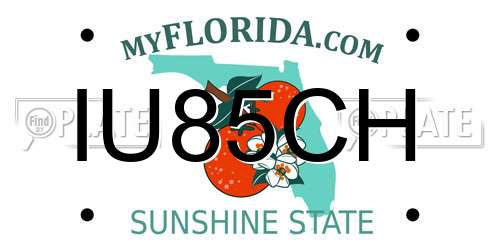 IU85CH Florida License Plate