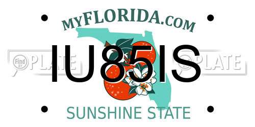 IU85IS Florida License Plate