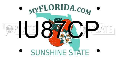 IU87CP Florida License Plate