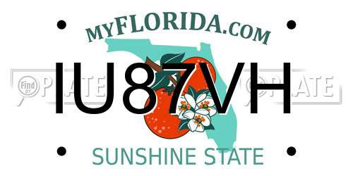 IU87VH Florida License Plate