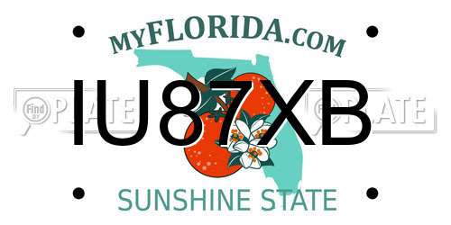 IU87XB Florida License Plate