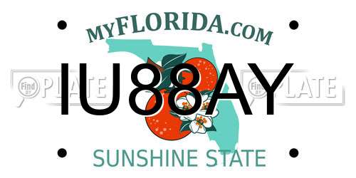 IU88AY Florida License Plate