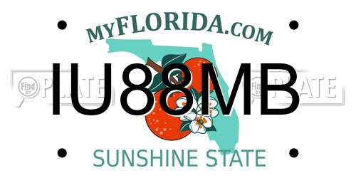 IU88MB Florida License Plate