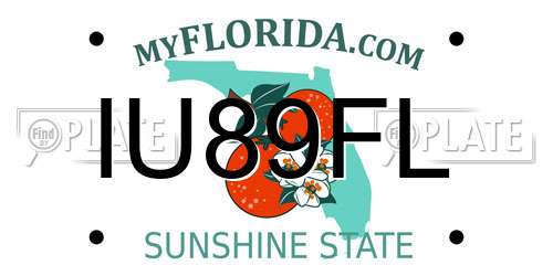 IU89FL Florida License Plate