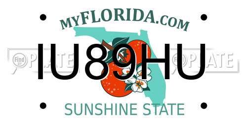 IU89HU Florida License Plate