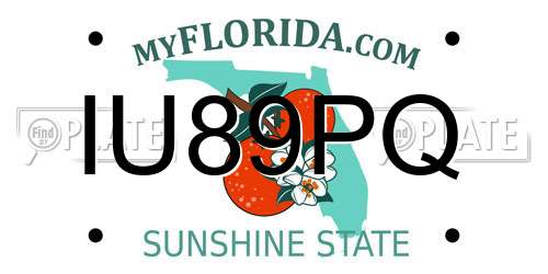 IU89PQ Florida License Plate