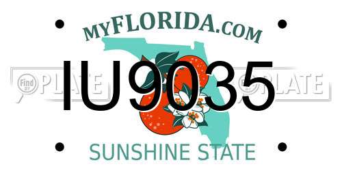 IU9035 Florida License Plate