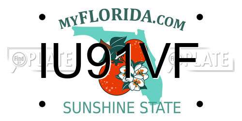 IU91VF Florida License Plate