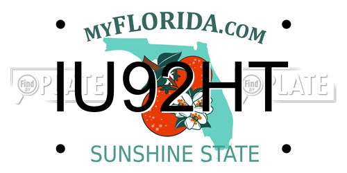 IU92HT Florida License Plate