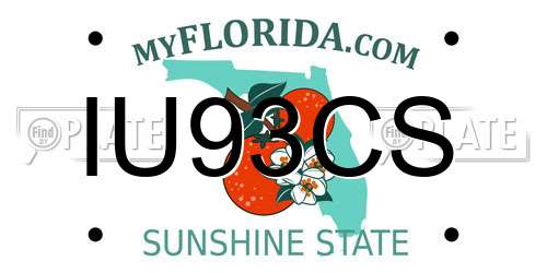 IU93CS Florida License Plate