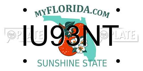 IU93NT Florida License Plate