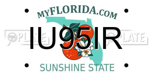 IU95IR Florida License Plate