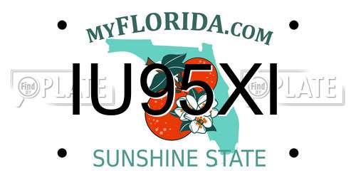 IU95XI Florida License Plate