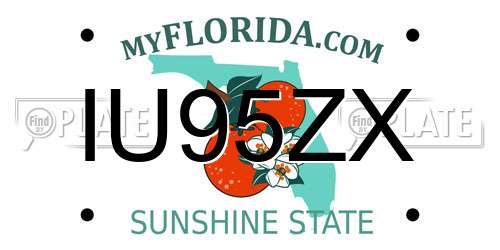 IU95ZX Florida License Plate