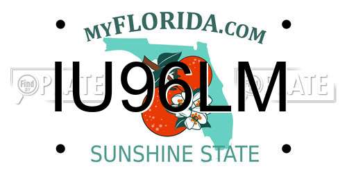 IU96LM Florida License Plate