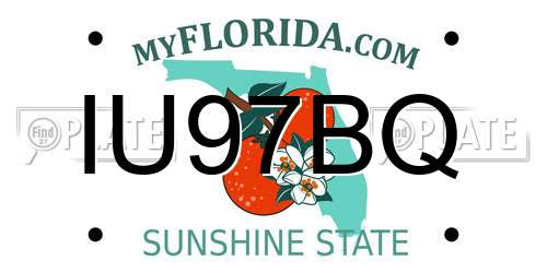 IU97BQ Florida License Plate