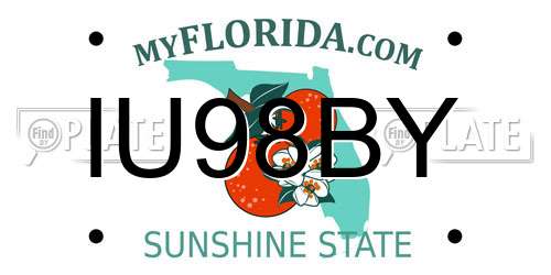IU98BY Florida License Plate