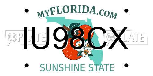 IU98CX Florida License Plate