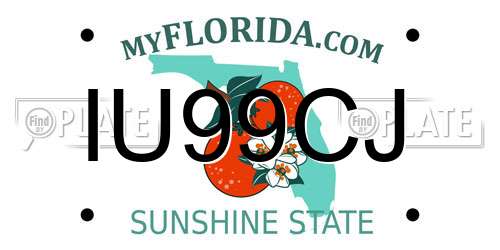 IU99CJ Florida License Plate