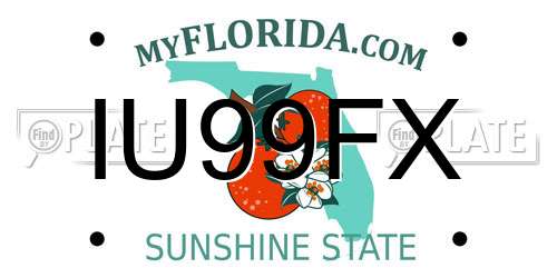 IU99FX Florida License Plate