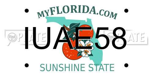 IUAE58 Florida License Plate