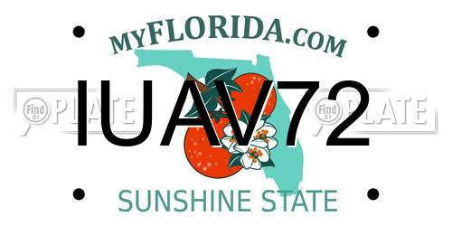 IUAV72 Florida License Plate