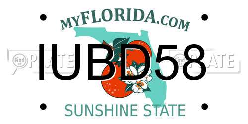 IUBD58 Florida License Plate