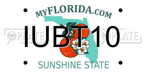 IUBT10 Florida License Plate