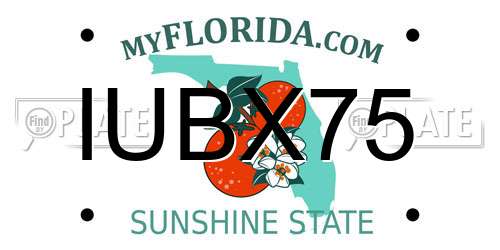 IUBX75 Florida License Plate