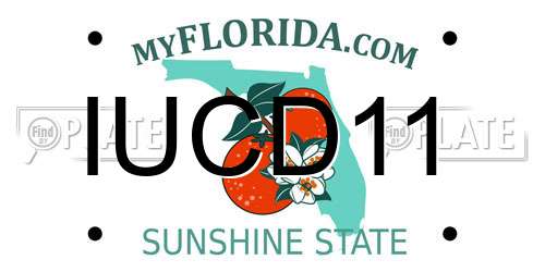 IUCD11 Florida License Plate