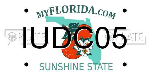IUDC05 Florida License Plate