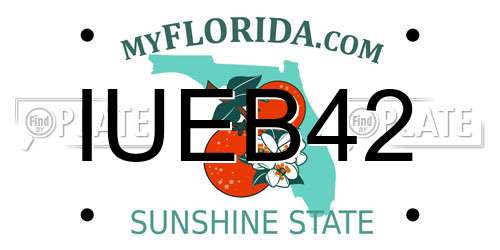 IUEB42 Florida License Plate
