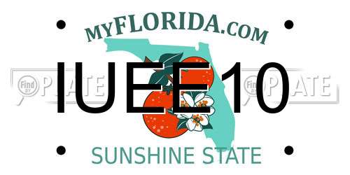IUEE10 Florida License Plate