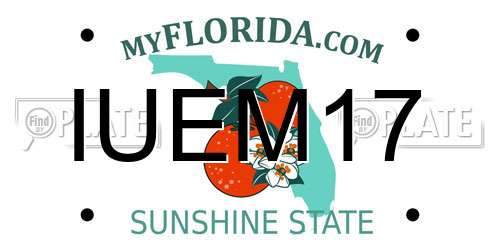 IUEM17 Florida License Plate