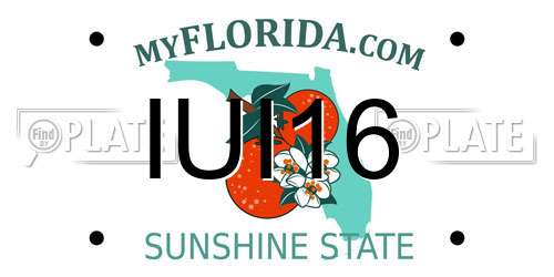 IUI16 Florida License Plate