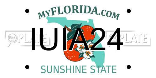 IUIA24 Florida License Plate