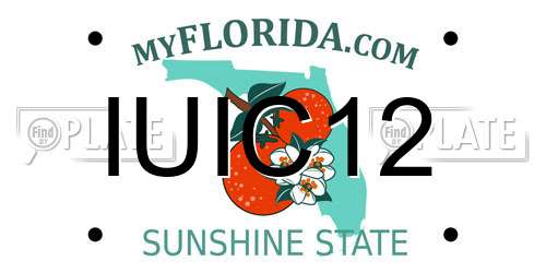 IUIC12 Florida License Plate