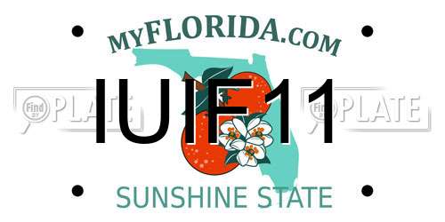 IUIF11 Florida License Plate