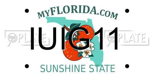 IUIG11 Florida License Plate