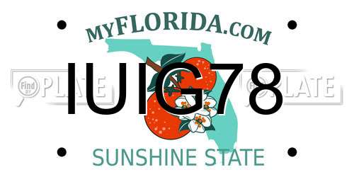 IUIG78 Florida License Plate