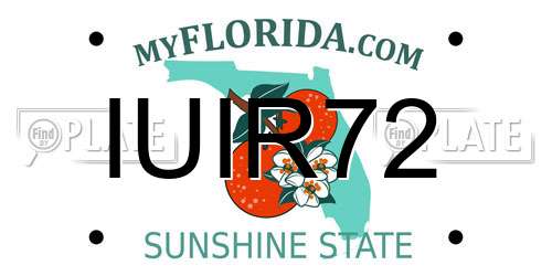 IUIR72 Florida License Plate
